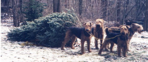 Pulling the Tree